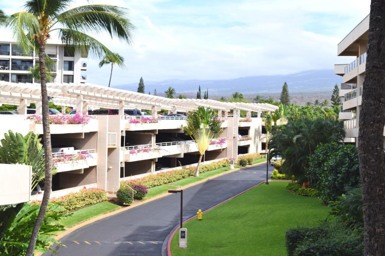 Maui Banyan G310C Leilighet Wailea  Eksteriør bilde